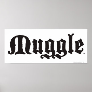 Harry Potter-Bann | Muggle Poster