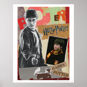 Harry Potter damals und heute Poster