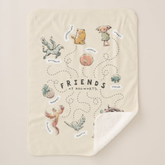HARRY POTTER™ | Freunde von Hogwarts Sherpadecke