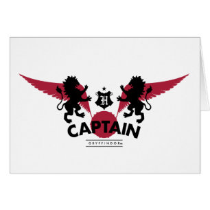 Harry Potter   GRYFFINDOR™ House Quidditch Captain
