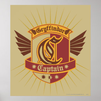 Harry Potter | Gryffindor QUIDDITCH � Kapitän Embl Poster