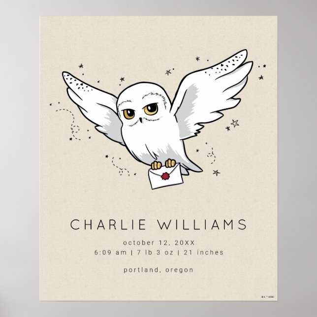 Harry Potter | Hedwig Baby Birth Stats Poster (Vorne)