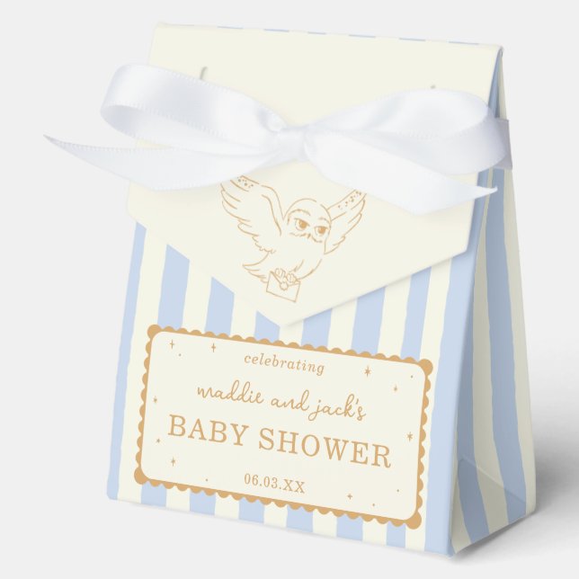 Harry Potter Hedwig Blau Gestreift Baby Shower Geschenkschachtel (Vorderseite)