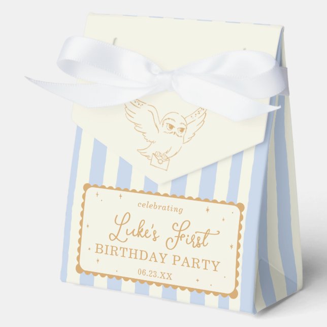 Harry Potter Hedwig Blue Stripe Baby Shower Geschenkschachtel (Vorderseite)