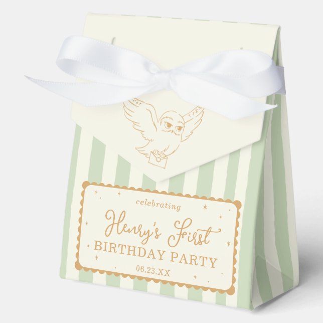 Harry Potter Hedwig Grün Gestreift Baby Shower Geschenkschachtel (Vorderseite)