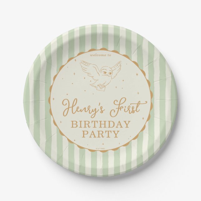 Harry Potter Hedwig Grüner Magischer Geburtstag Pappteller (Vorderseite)