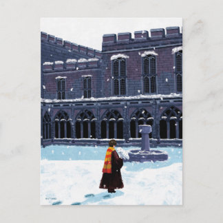 HARRY POTTER™ & Hedwig in HOGWARTS™ Hof Postkarte