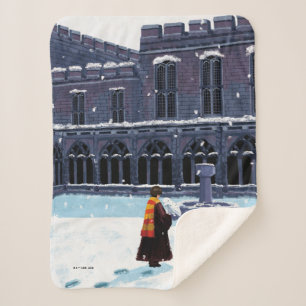 HARRY POTTER™ & Hedwig in HOGWARTS™ Hof Sherpadecke