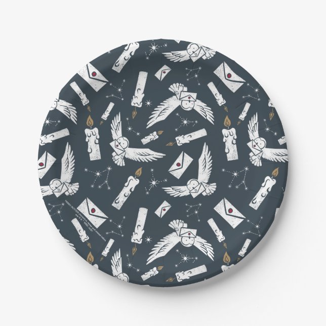 HARRY POTTER™ Hedwig liefert Briefe Muster Pappteller (Vorderseite)