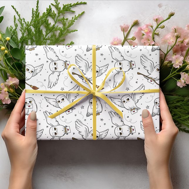 Harry Potter | Hedwig-Muster - Babyparty Geschenkpapier (Wrapped gift)