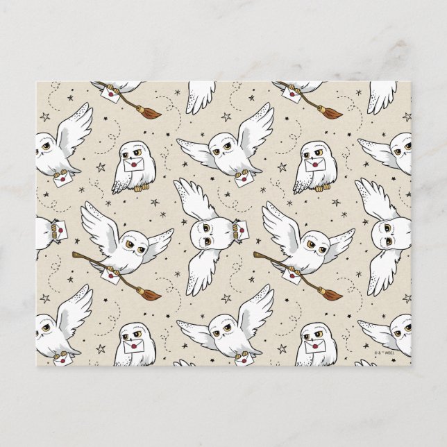 Harry Potter | Hedwig-Muster Postkarte (Vorderseite)