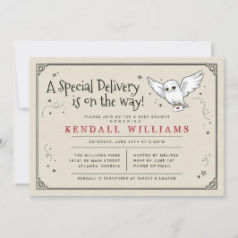 Harry Potter | Hedwig Special Delivery Baby Shower