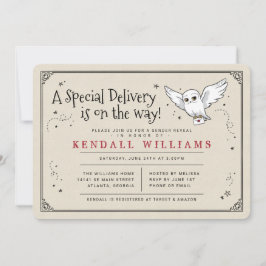 Harry Potter Hedwig Special Delivery Gender Reveve Einladung