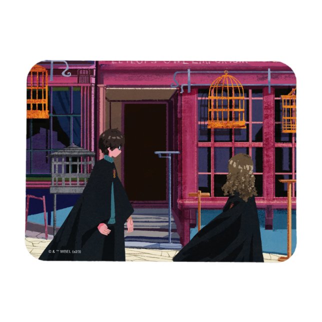 HARRY POTTER™ & Hermione bei Eeylops Owl Emporium Magnet (Horizontal)