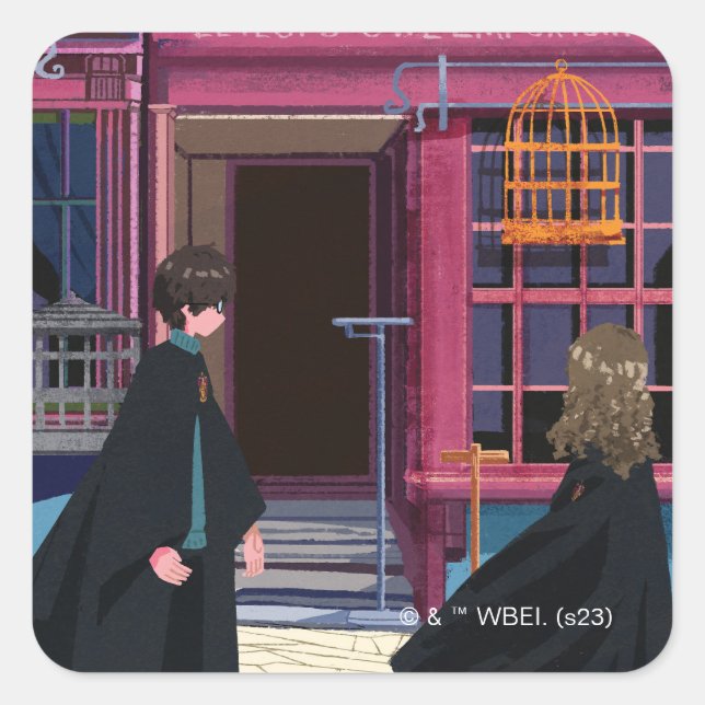 HARRY POTTER™ & Hermione bei Eeylops Owl Emporium Quadratischer Aufkleber (Vorderseite)