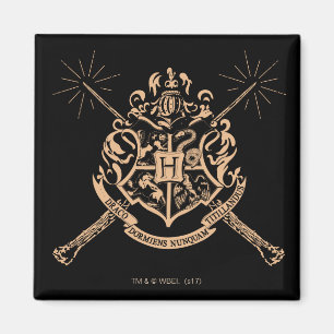 Harry Potter   Hogwarts gekreuzte Wandschilde Magnet