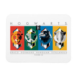 Harry Potter | HOGWARTS™ House Sigils Magnet
