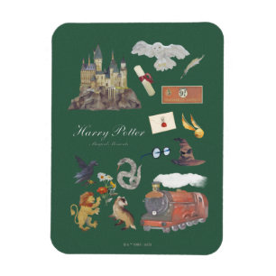 HARRY POTTER™   Magische Momente Magnet