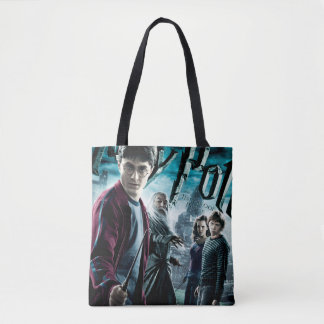 Harry Potter mit Dumbledore Ron und Hermione 1