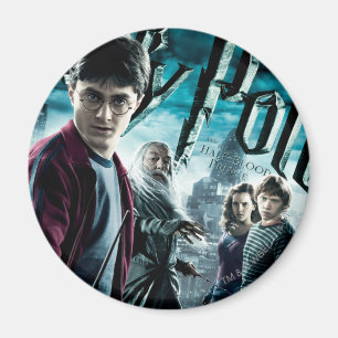Harry Potter mit Dumbledore Ron und Hermione 1 Magnet