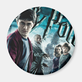 Harry Potter mit Dumbledore Ron und Hermione 1 Magnet