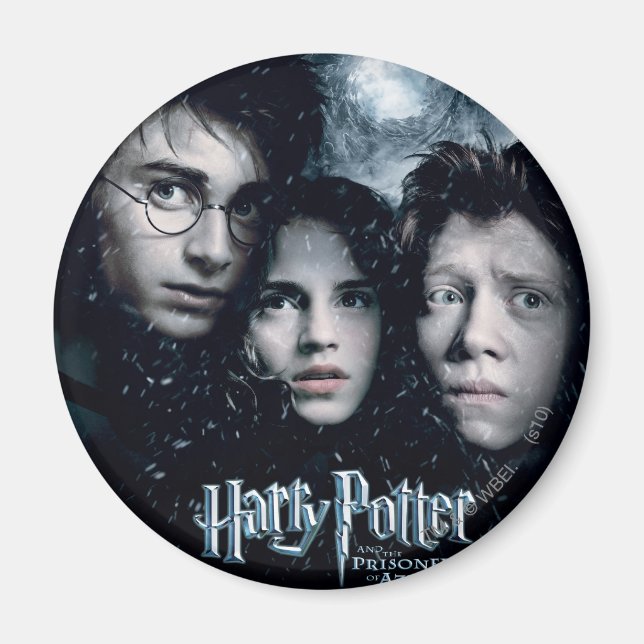 Harry Potter Movie Poster Magnet (Vorne)