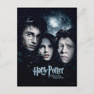 Harry Potter Movie Poster Postkarte