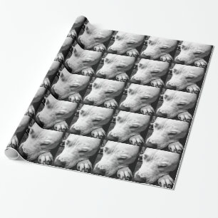 Harry Potter Narbe Hund weißer Pit Bull Geschenkpapier