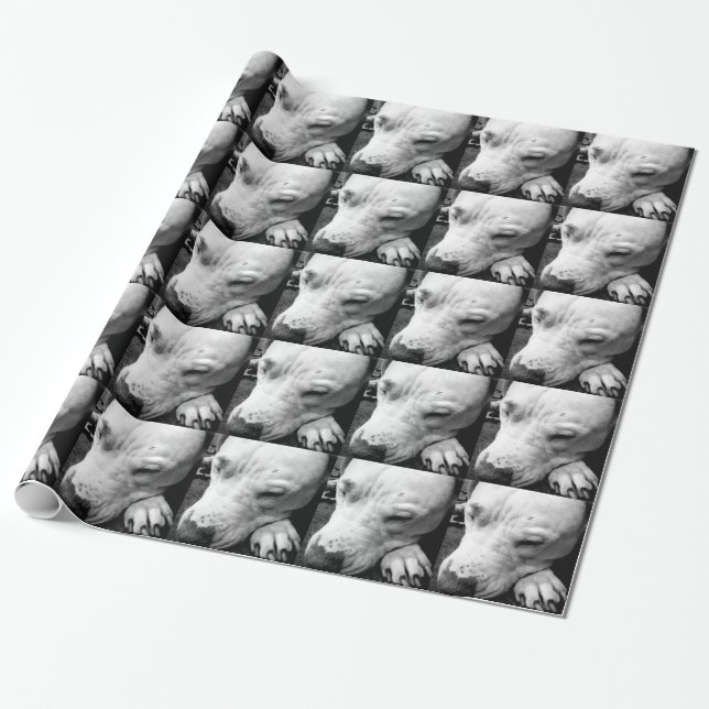 Harry Potter Narbe Hund weißer Pit Bull Geschenkpapier (Ungerollt)