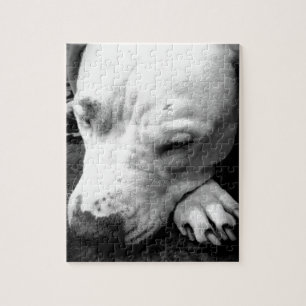 Harry Potter Narbe Hund weißer Pit Bull Puzzle