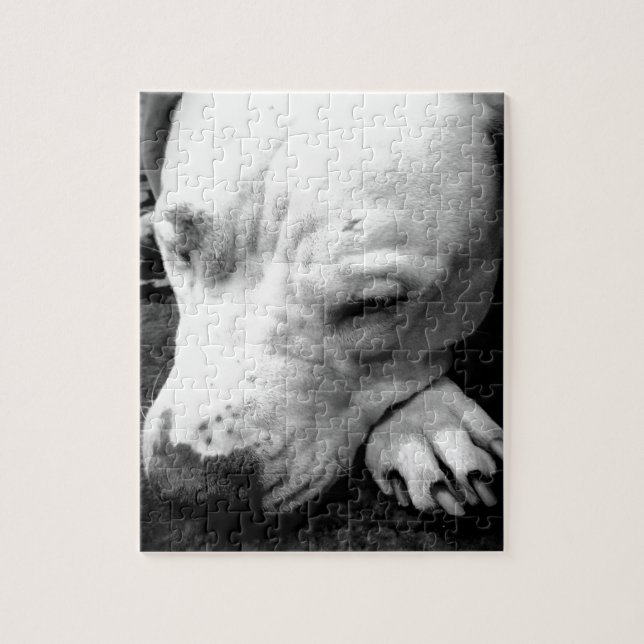Harry Potter Narbe Hund weißer Pit Bull Puzzle (Vertikal)