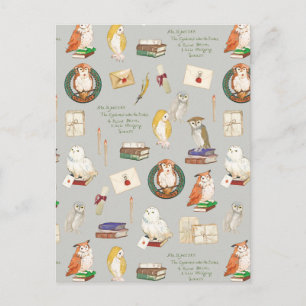 HARRY POTTER™   Owl Letter Pattern Postkarte
