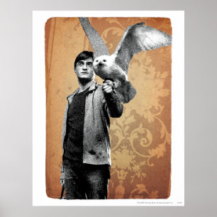 Harry Potter Poster