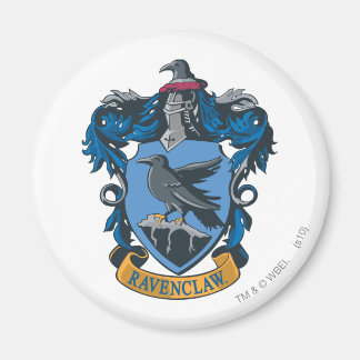 Harry Potter | Rampenbekleidung Magnet