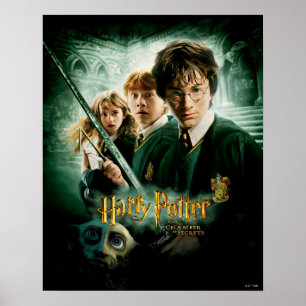 Harry Potter Ron Hermine Dobby Gruppenbild Poster
