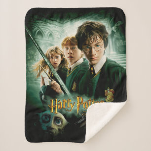 Harry Potter Ron Hermine Dobby Gruppenbild Sherpadecke
