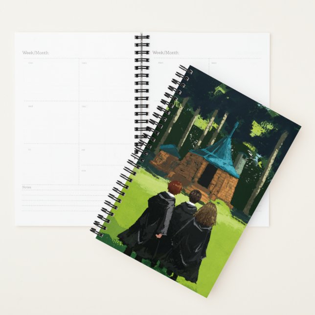 HARRY POTTER™, Ron & Hermione bei Hagrid's Hut Planer (Anzeige)