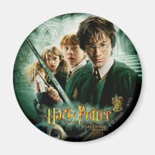 Harry Potter Ron Hermione Dobby Group Shot Magnet