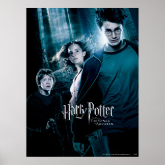 Harry Potter Ron Hermione im Wald Poster