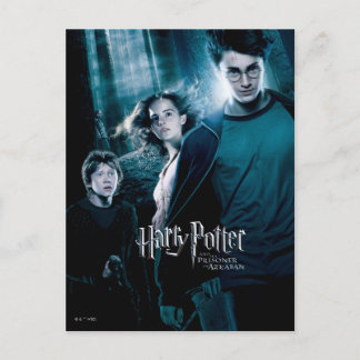 Harry Potter Ron Hermione im Wald Postkarte