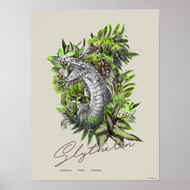 HARRY POTTER™ SLYTHERIN™ Blumengrafik Poster (Vorne)