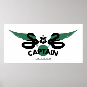 Harry Potter   SLYTHERIN™ House Quidditch Captain Poster