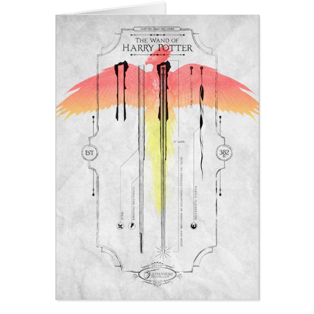 Harry Potter Spell | Harry's Wand Infografik (Vorne)