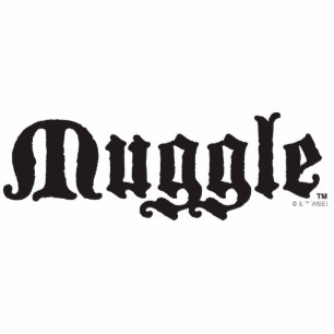 Harry Potter Spell   Muggle Fotoskulptur Magnet