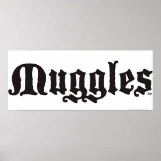 Harry Potter Spell | Muggles Poster