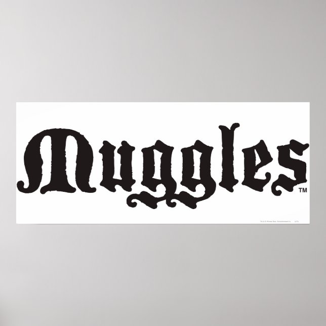 Harry Potter Spell | Muggles Poster (Vorne)
