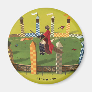 HARRY POTTER™ Suche nach dem goldenen Schnabel Magnet