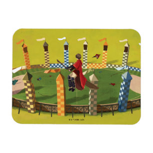 HARRY POTTER™ Suche nach dem goldenen Schnabel Magnet