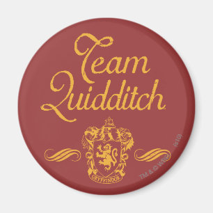 Harry Potter Team QUIDDITCH™ Magnet