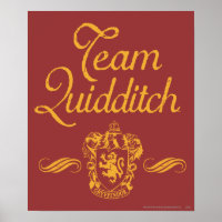 Harry Potter | Team QUIDDITCH™